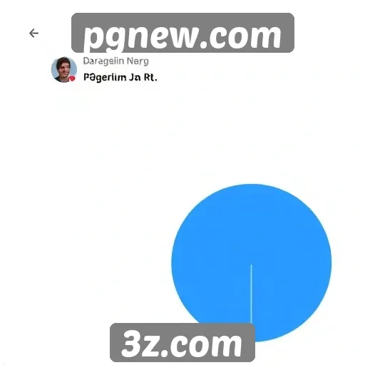 Feedback dos usuários sobre pgnew.com